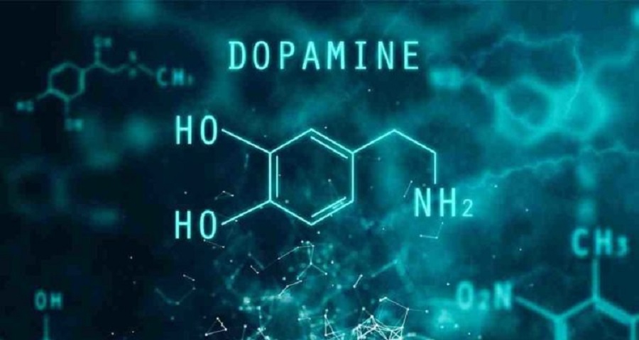 Dopamine là gì và những bí quyết giúp tăng hormone hạnh phúc