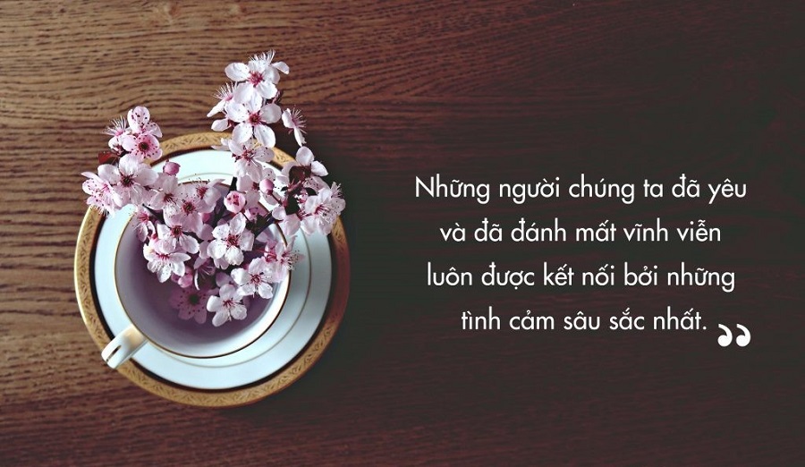 Những câu nói hay về sự ra đi nhằm xoa dịu tâm hồn