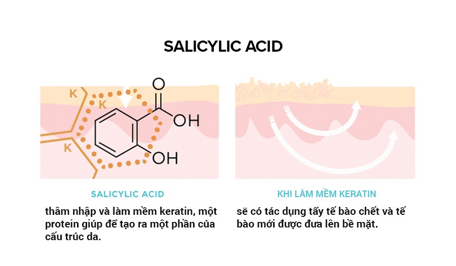Salicylic acid là gì? Hiểu đúng để có cách sử dụng hiệu quả - Ảnh 2