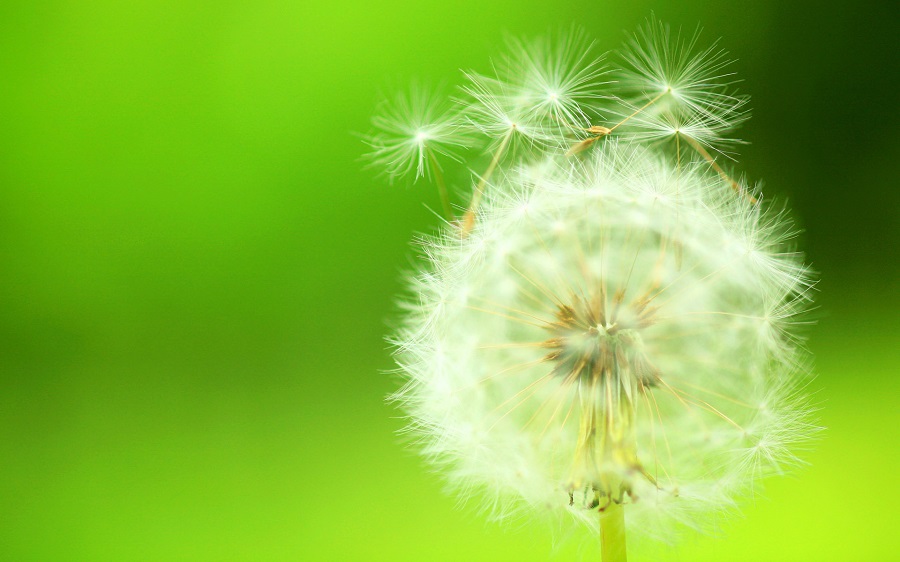 Tổng hợp 99+ Hình nền đẹp full HD cho điện thoại, máy tính ấn tượng nhất - Ảnh 3