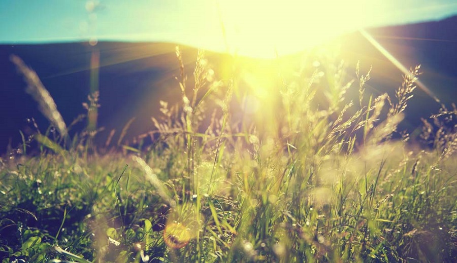 Tổng hợp 99+ hình nền đẹp full HD cho điện thoại, máy tính ấn tượng nhất - Ảnh 5