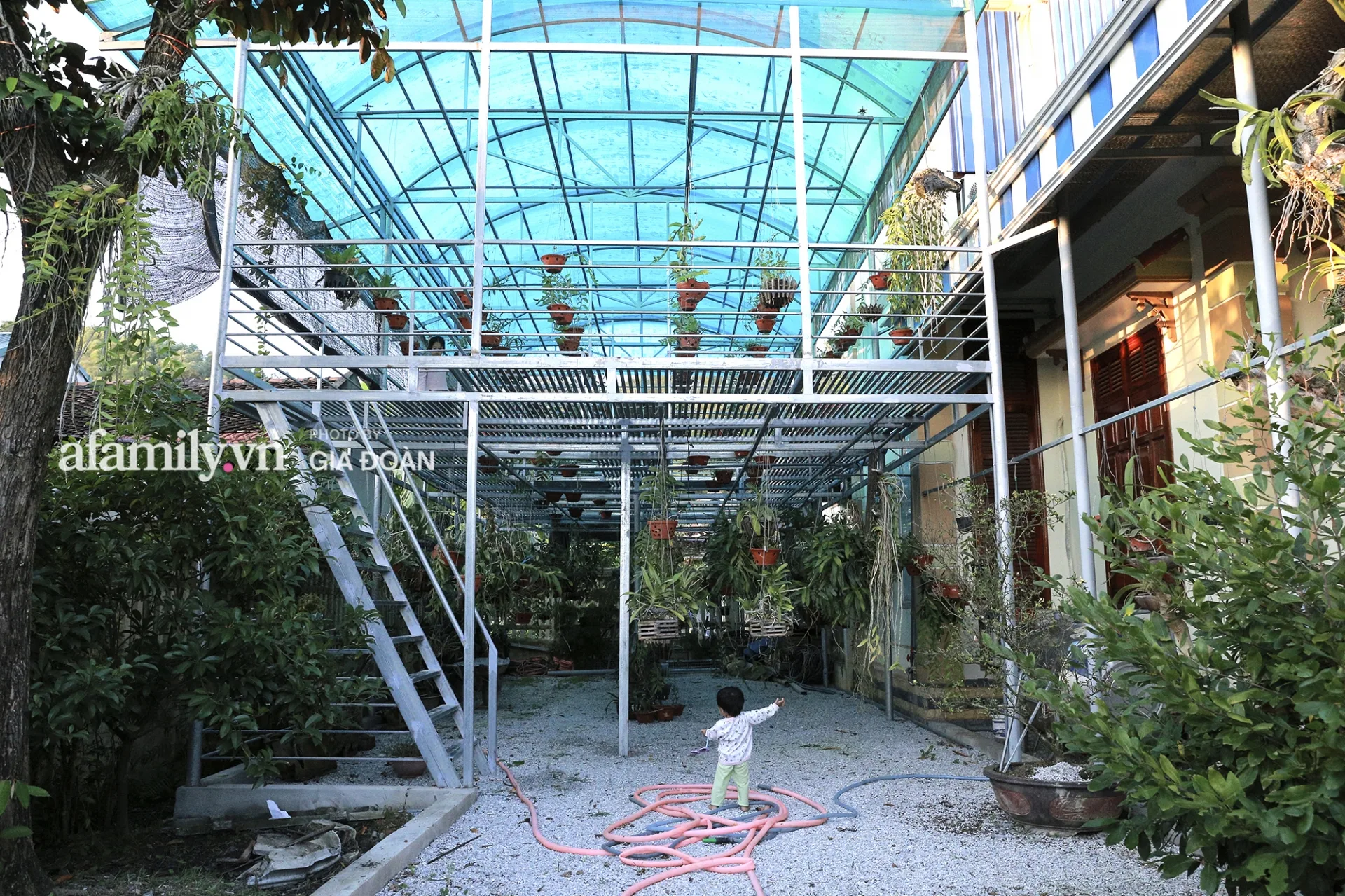 Cận cảnh nhà của Hoa hậu Đỗ Thị Hà: To nhất xã, nổi bật ngay từ xa - Ảnh 5