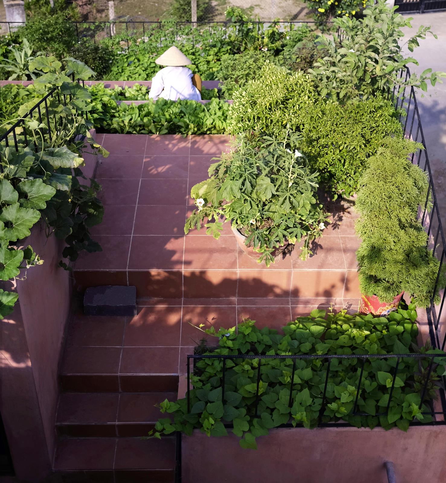 Ngắm ngôi nhà 7 bậc thang trồng rau trên mái ở Quảng Ngãi vừa đoạt giải kiến trúc quốc tế - Ảnh 7