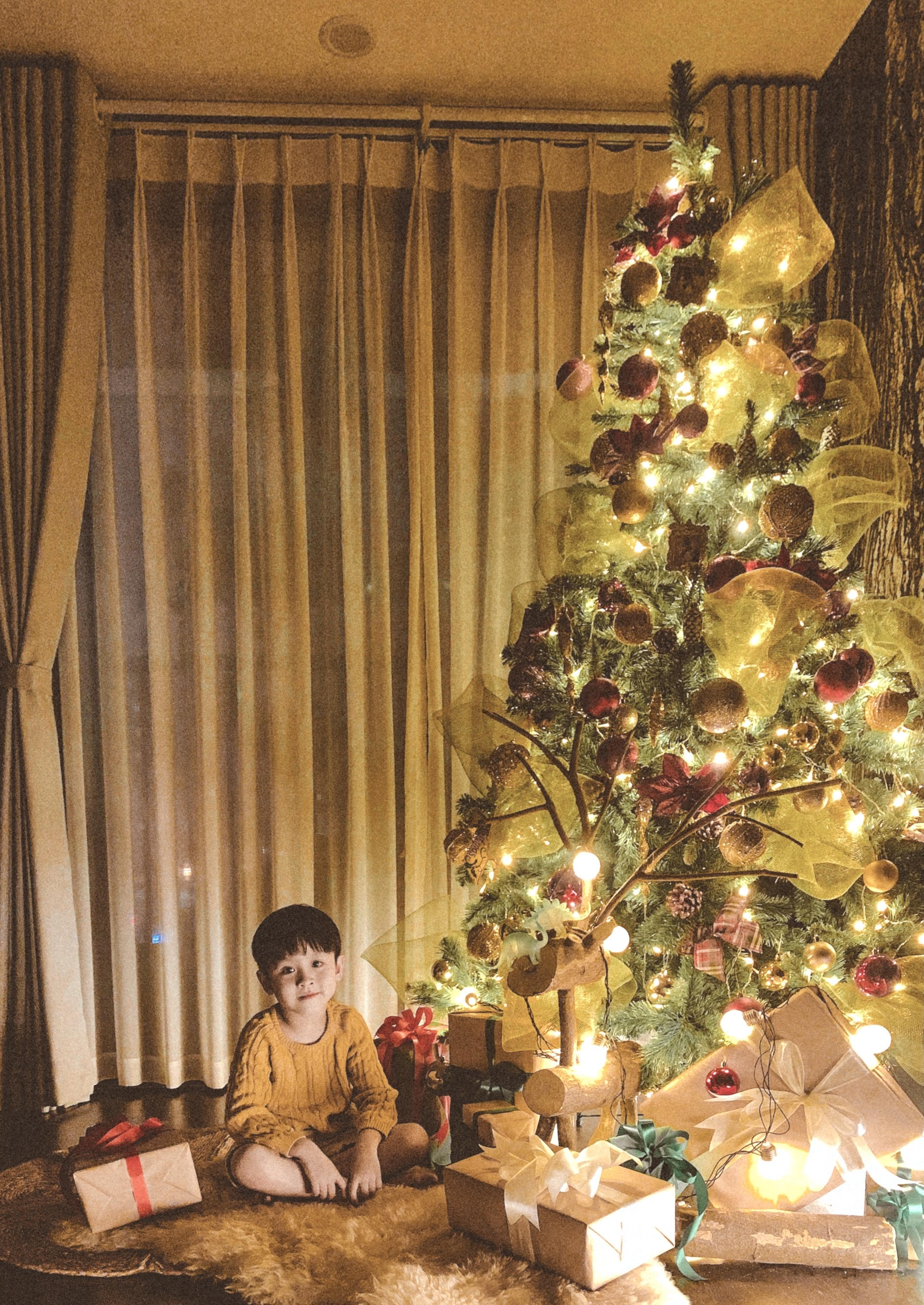 Sau khi trang trí, cây thông Giáng sinh trở thành tâm điểm cho phòng khách.
