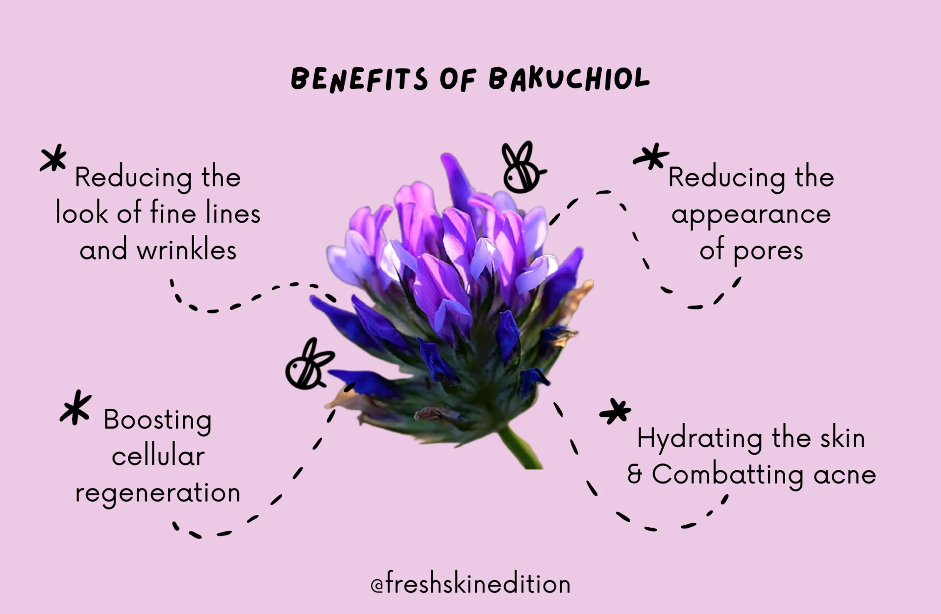 Bakuchiol - hoạt chất được dự đoán sẽ soàn ngôi Retinol trong tương lai - Ảnh 1