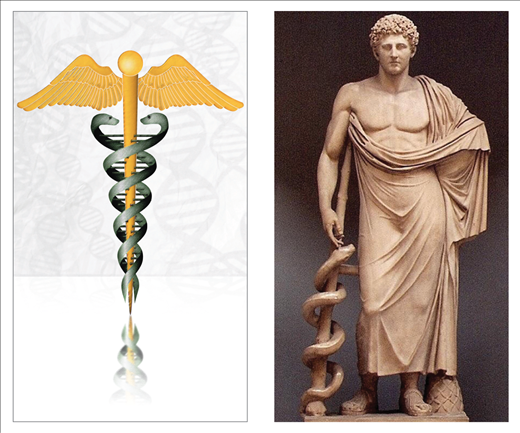 2 con rắn biểu trưng cho vũ khí của thần Hermes, vị thần của sự lừa lọc.