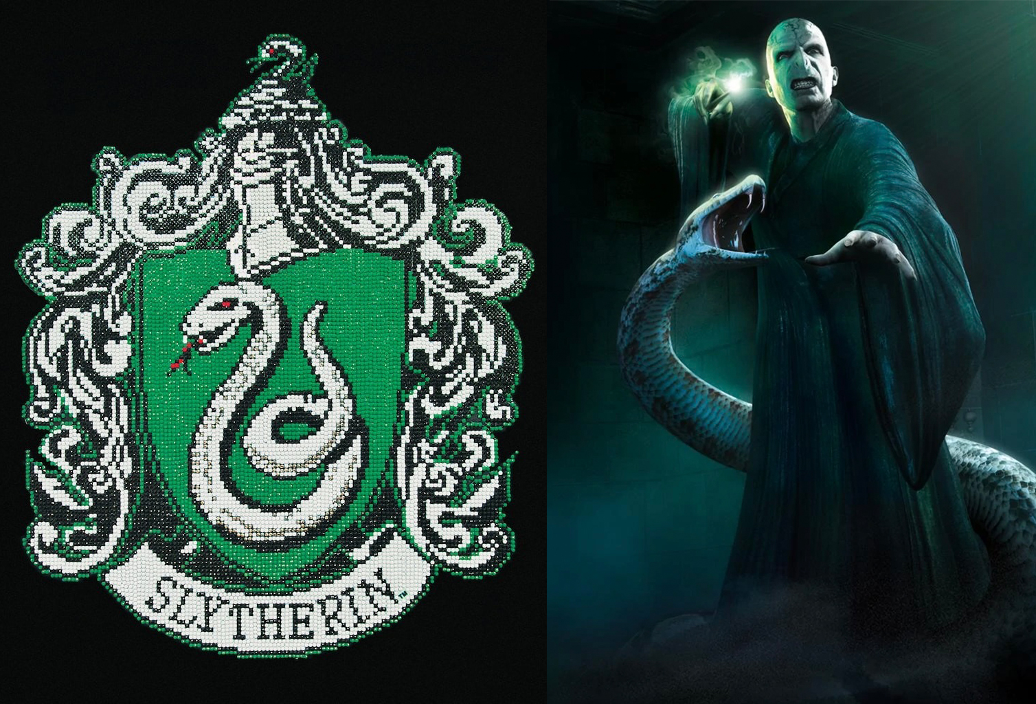 Một hình ảnh rắn mang ý nghĩa tiêu cực có thể kể đến là huy hiệu của nhà Slytherin hay thú cưng của chúa tể Voldemort trong phim Harry Potter.