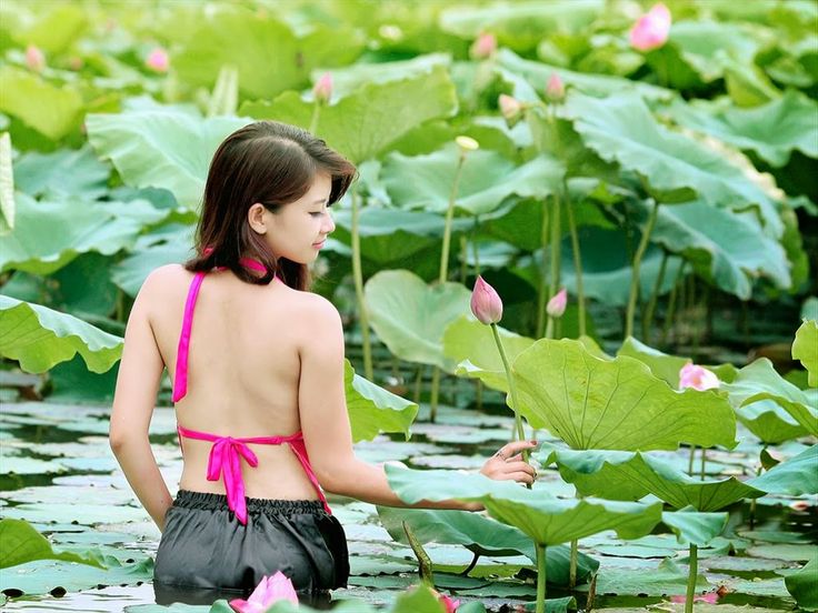 Tháng 6 mùa sen: Chụp ảnh hồ sen mặc gì đẹp? Những thảm hoạ trang phục hồ sen bạn nữ nên tránh  - Ảnh 2