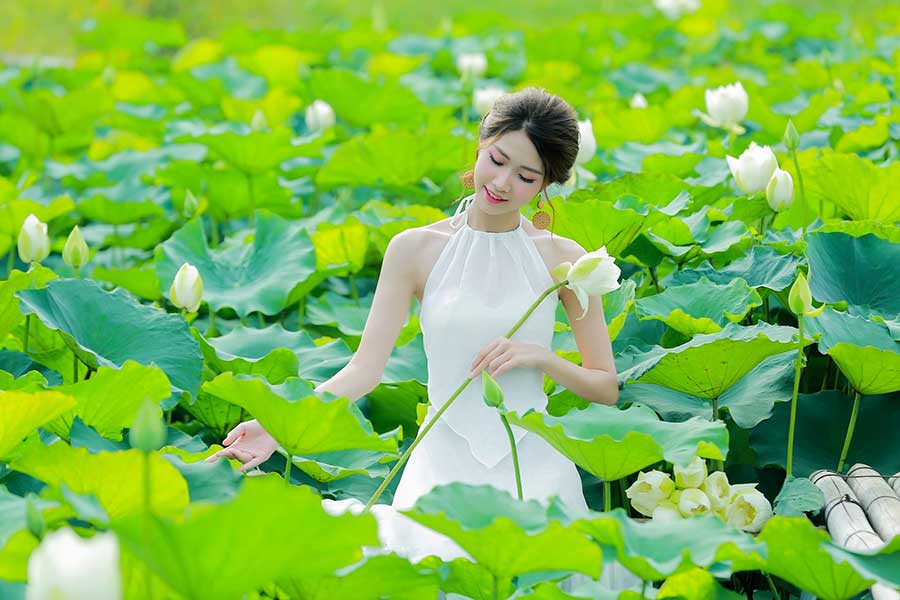Tháng 6 mùa sen: Chụp ảnh hồ sen mặc gì đẹp? Những thảm hoạ trang phục hồ sen bạn nữ nên tránh  - Ảnh 1