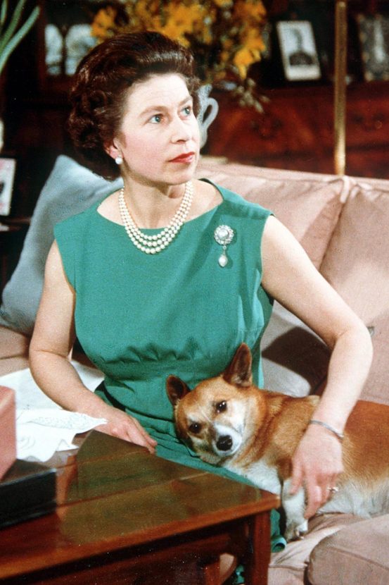 Vì sao Nữ hoàng Anh thích đeo vòng cổ ngọc trai? - Ảnh 4