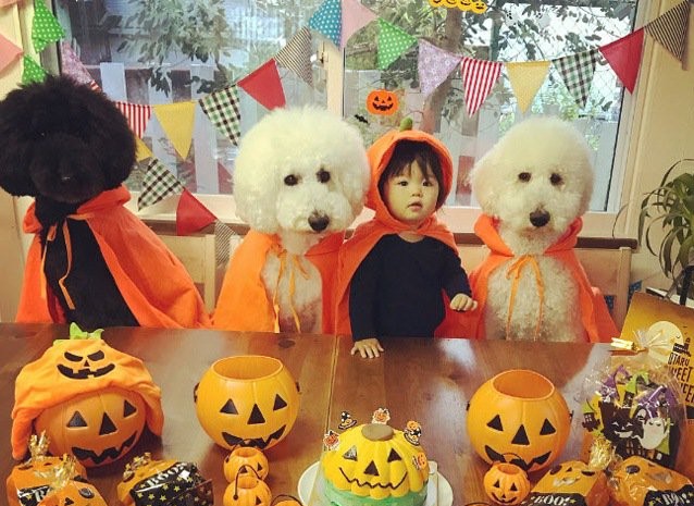 'Biến hóa' mùa lễ hội: Hóa trang Halloween cho bé gái