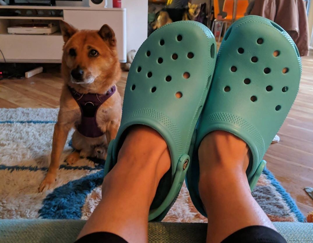 Vì sao từ "con ghẻ" của giới thời trang, Crocs trở thành trào lưu giới trẻ?
