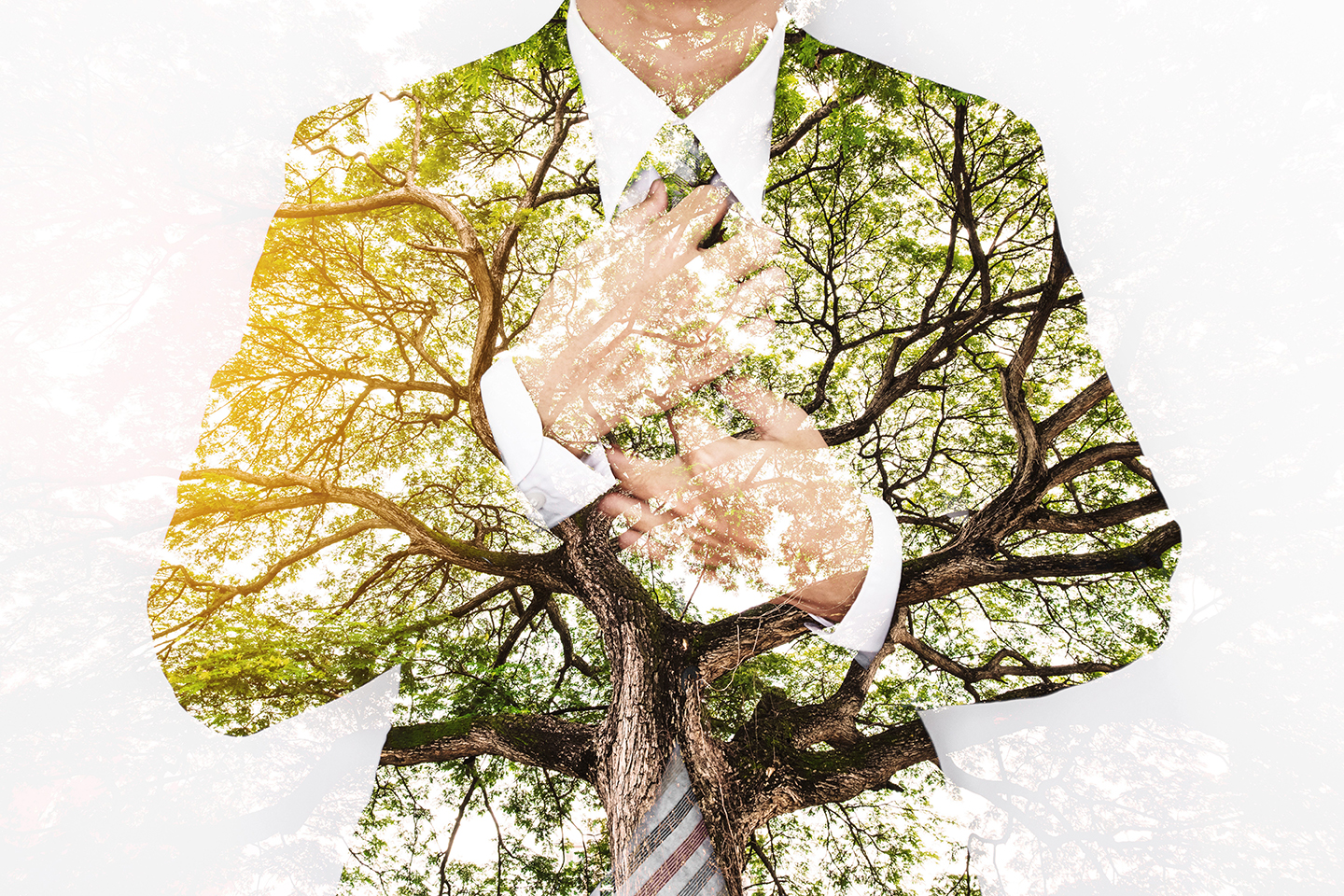 Tìm hiểu về xu hướng thời trang bền vững 