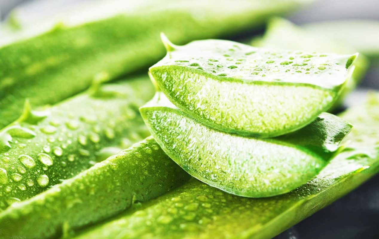 “Bật mí” 5 cách làm trắng da toàn thân bằng nha đam không thử thì phí