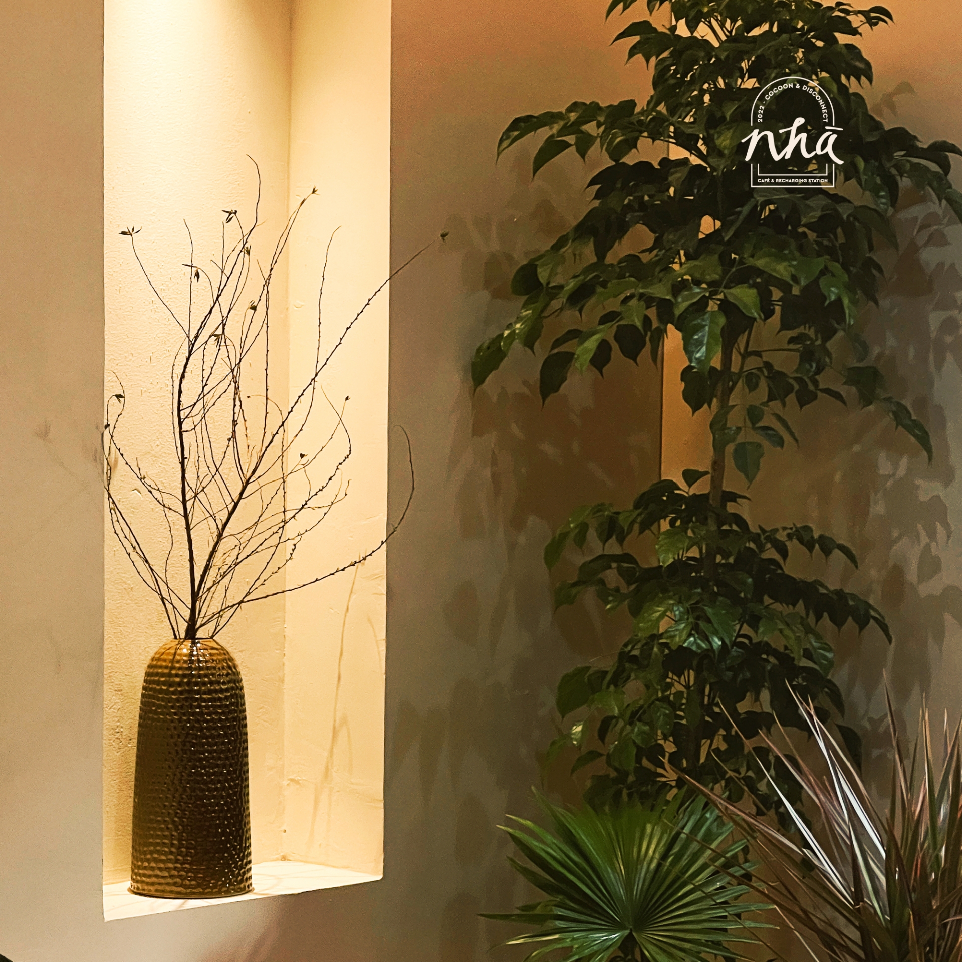 Nhà Cafe - chốn hẹn hò cho ngày Valentine - Ảnh 1