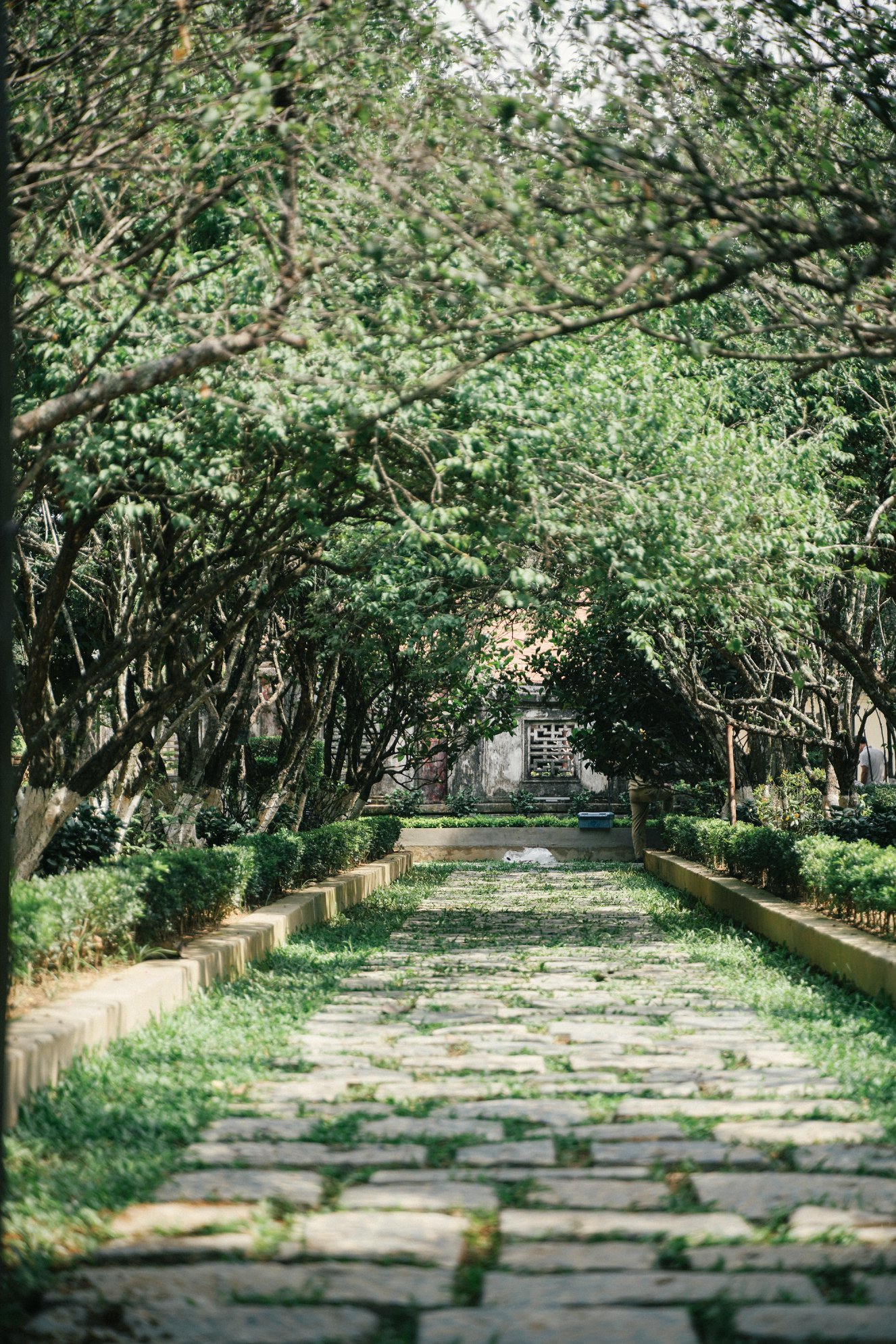 Lối dẫn vào rợp bóng cây ở nhà vườn An Hiên. Ảnh : Nguyen Thanh Luan.