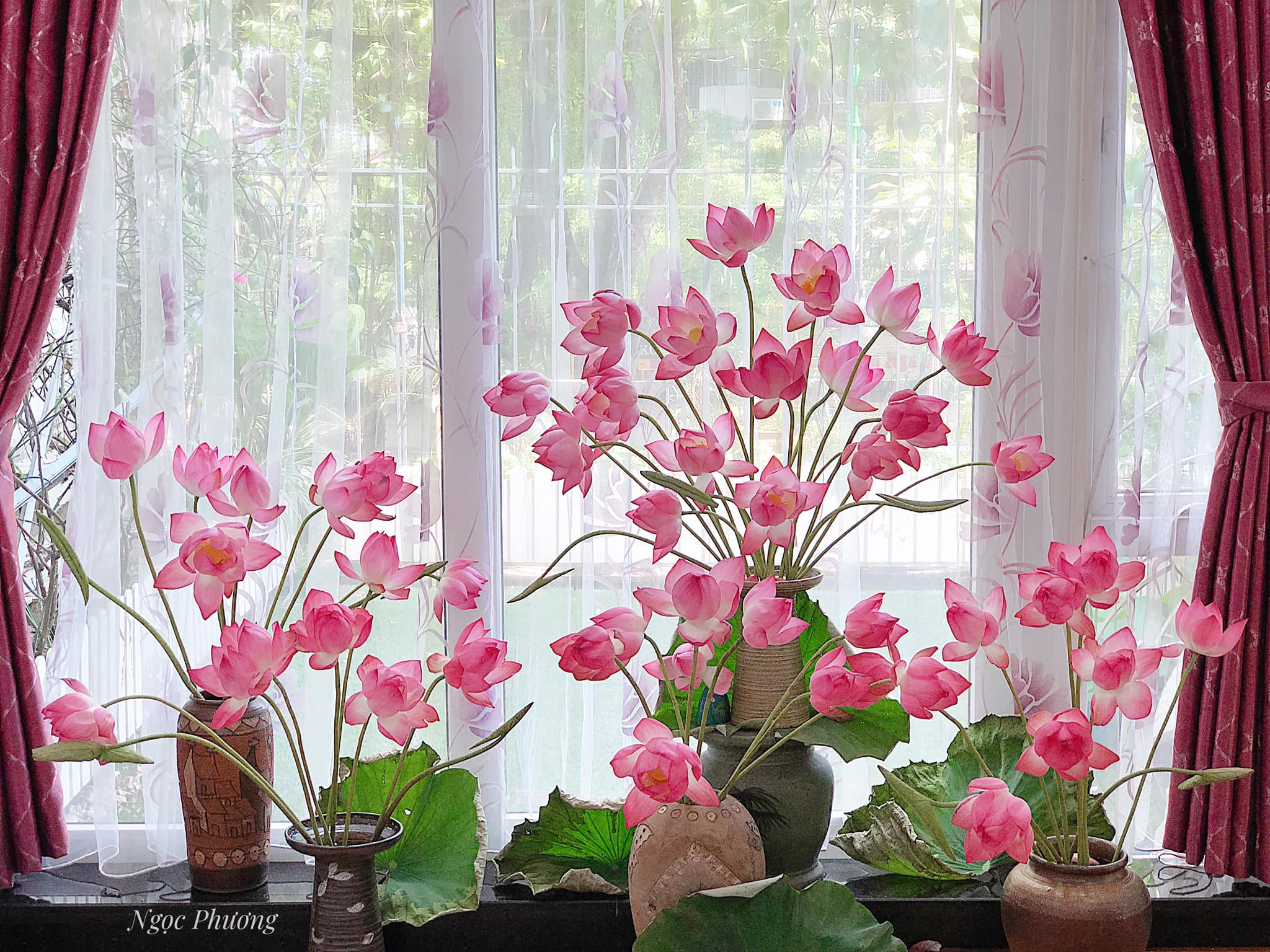 4 loại hoa sen khiến chi em say mê quên lối khi trang trí nhà