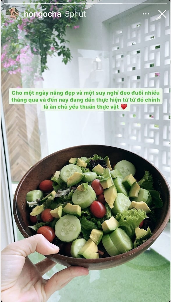 Hồ Ngọc Hà bắt đầu một ngày mới bằng đĩa salad thuần thực vật với các nguyên liệu tươi ngon như bơ, dưa chuột, rau xanh và cà chua bi.