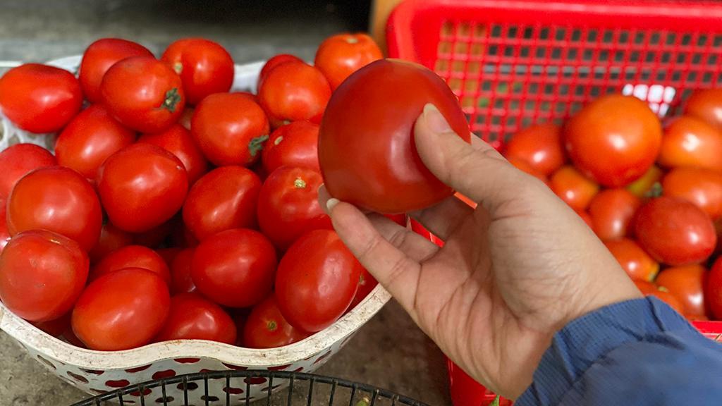 Bạn có thể sờ nắn thử vào quả cà chua khi chọn mua.