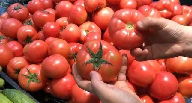 Nên kiểm tra phần núm quả cà chua.