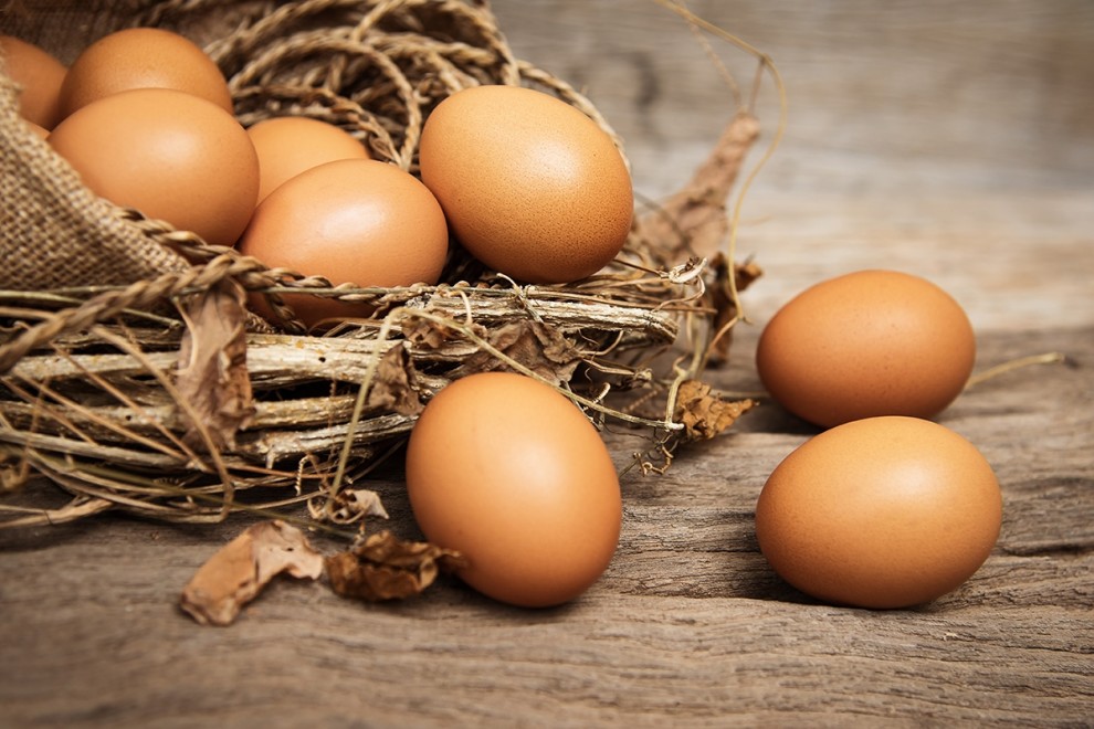 Trứng là một thực phẩm rẻ nhưng khá tiện dụng và bổ dưỡng.