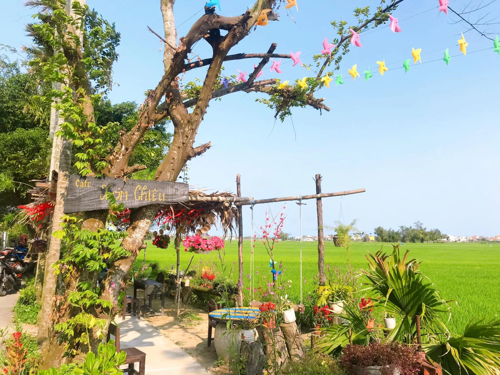 3 quán cà phê Hội An có view đồng lúa thơ mộng được team mê sống ảo yêu thích - Ảnh 1