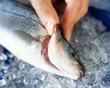 Bạn có thể quan sát phần mang cá khi mua để biết cá có tươi không.
