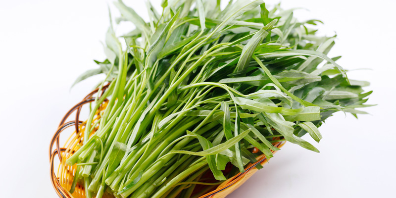 3 dấu hiệu đơn giản giúp bạn phân biệt rau muống sạch và rau muống có hoá chất