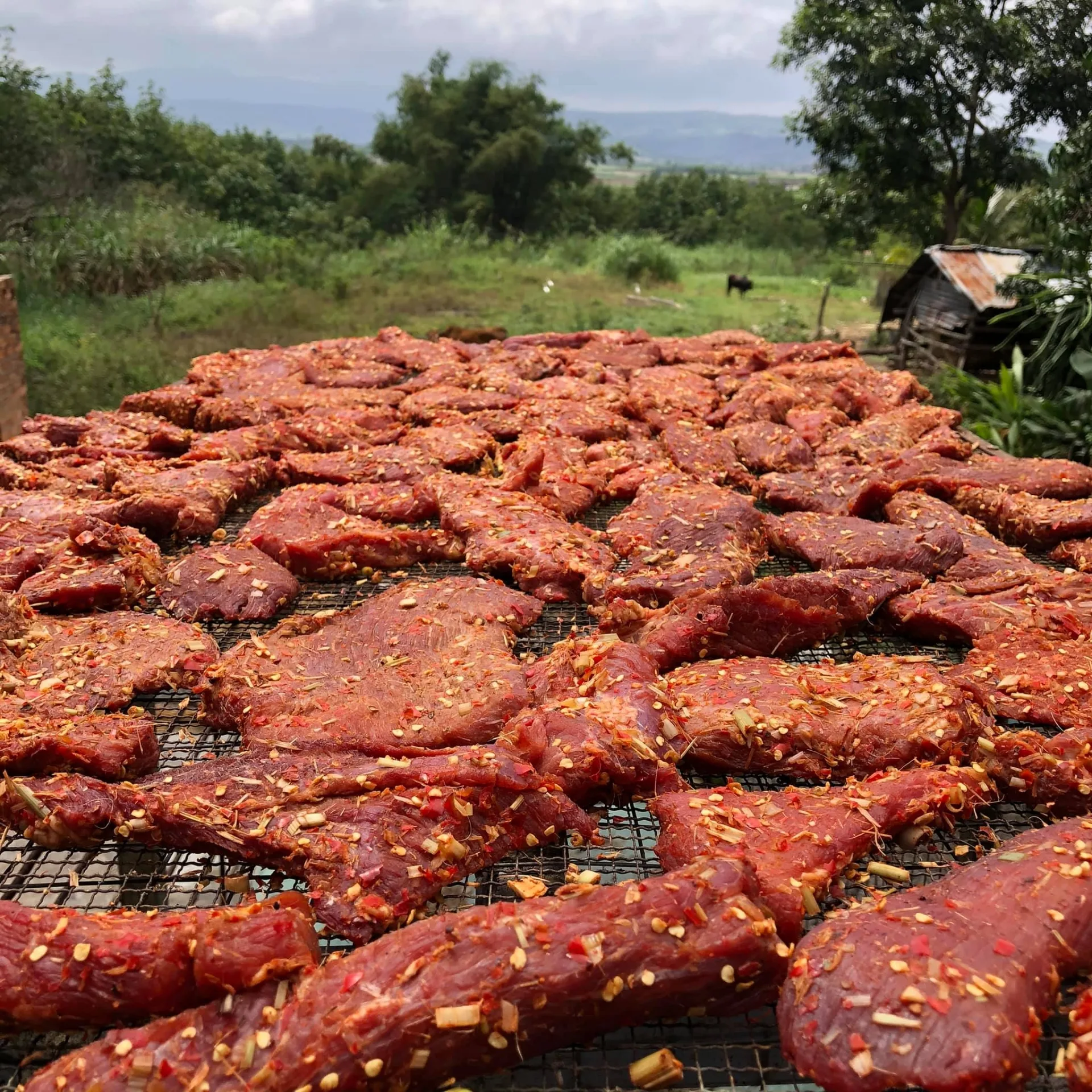 Bò một nắng, món đặc sản được nhiều người mua về làm quà khi đến xứ Nẫu Phú Yên - Ảnh 1