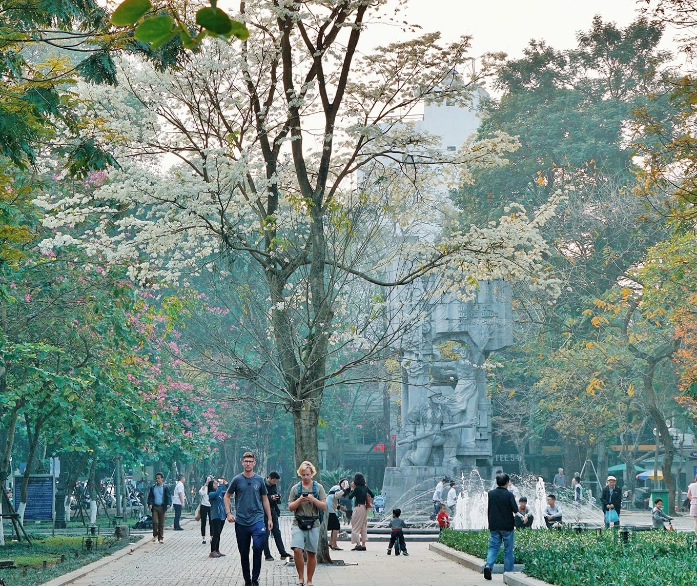4 loài hoa làm nên hương sắc Hà Nội, ai ngắm cũng xiêu lòng trong những ngày tháng 3