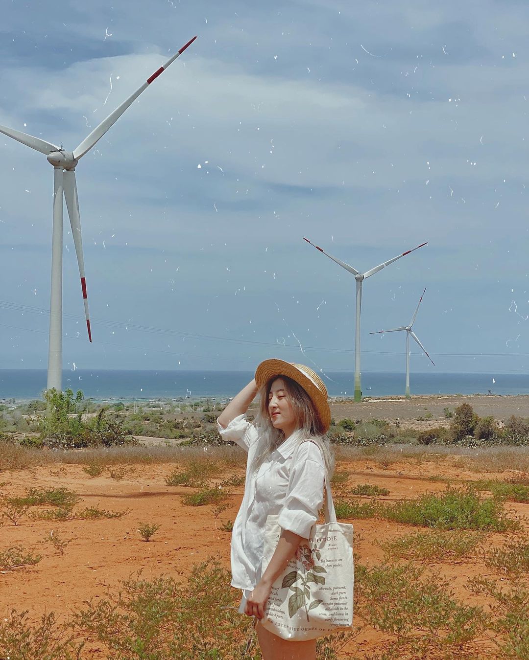 5 cánh đồng điện gió ở Việt Nam đẹp không kém trời Âu, chỉ đứng vào là có ngàn ảnh đẹp - Ảnh 3