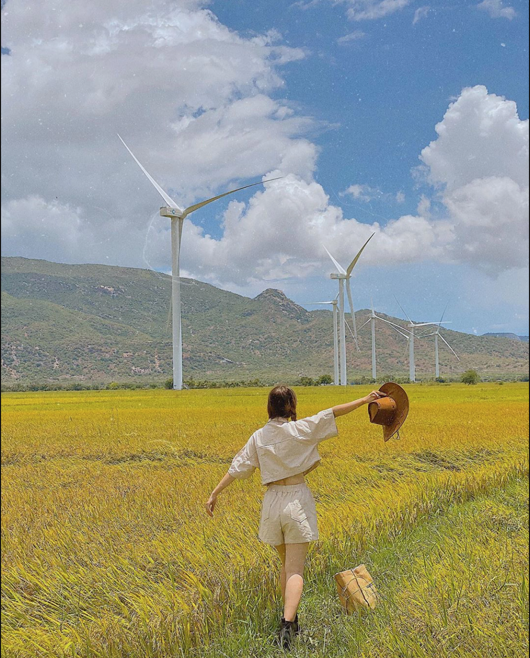 5 cánh đồng điện gió ở Việt Nam đẹp không kém trời Âu, chỉ đứng vào là có ngàn ảnh đẹp - Ảnh 6