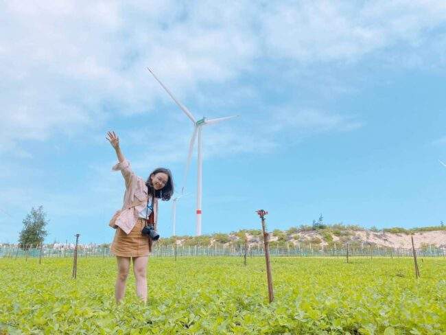 5 cánh đồng điện gió ở Việt Nam đẹp không kém trời Âu, chỉ đứng vào là có ngàn ảnh đẹp - Ảnh 8