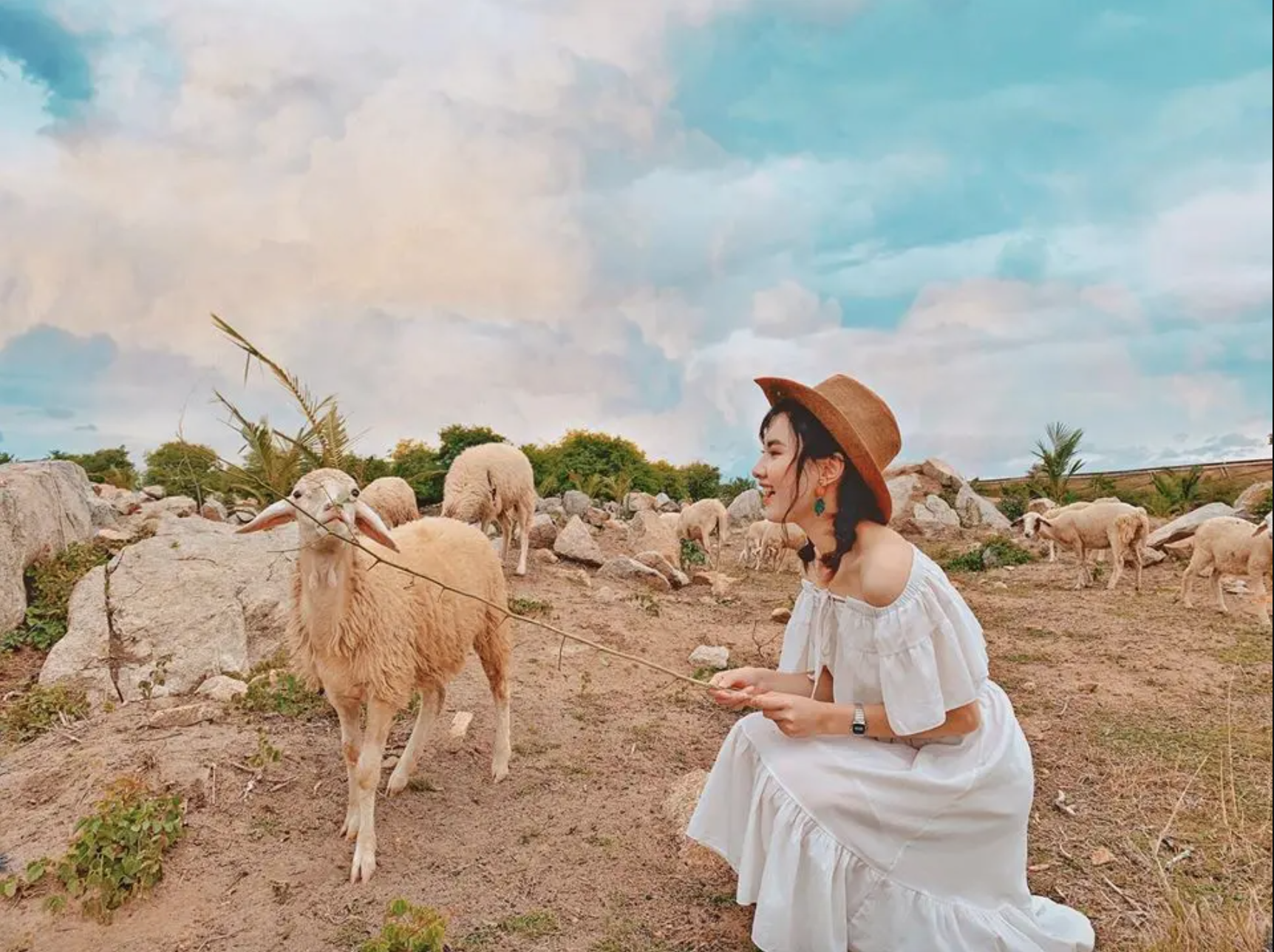 7 điểm đến “đẹp như mơ” mà bạn nhất định phải check-in khi đến Ninh Thuận - Ảnh 1