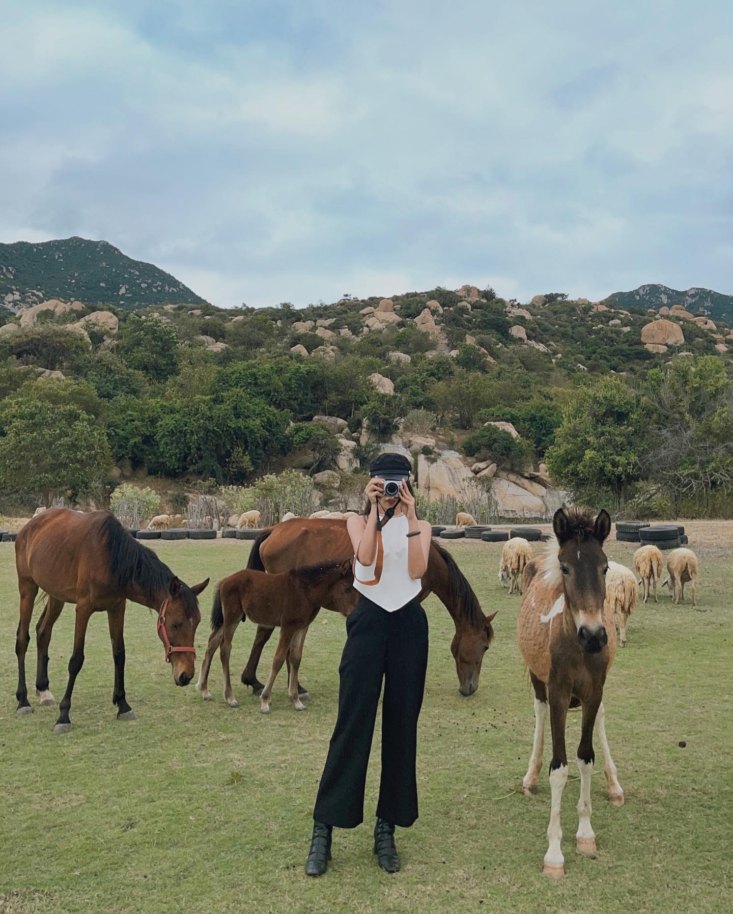 7 điểm đến “đẹp như mơ” mà bạn nhất định phải check-in khi đến Ninh Thuận - Ảnh 1