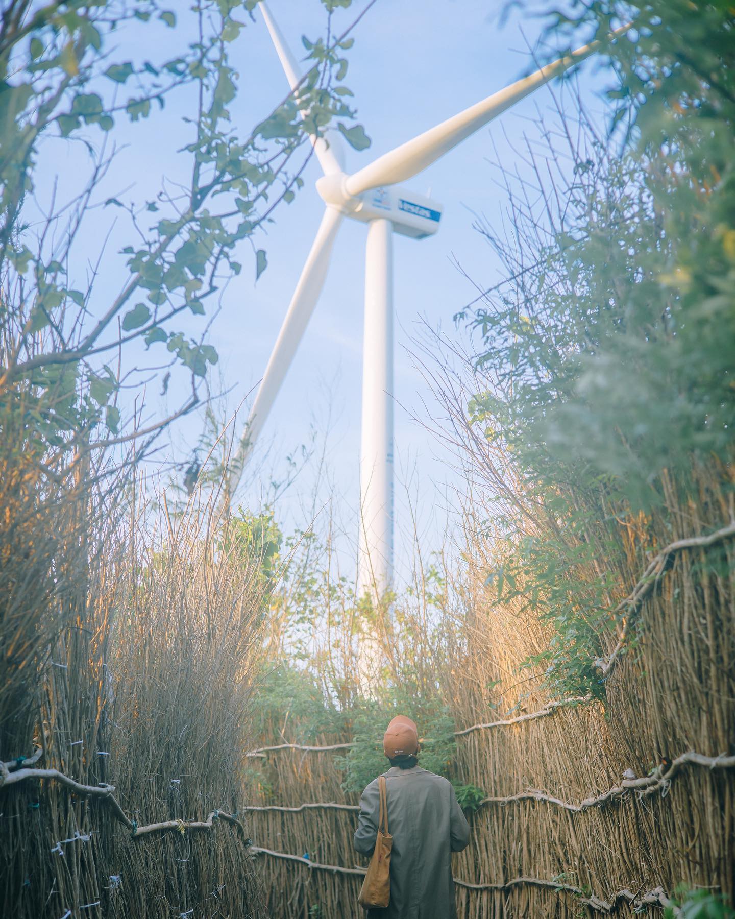 Cẩm nang du lịch Phú Quý, khám phá từ A đến Z “Hometown Cha Cha Cha” phiên bản Việt - Ảnh 1