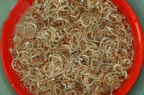 Cách làm gỏi bắp bò hoa chuối thanh đạm, dễ làm mà không lo bị thâm đen - Ảnh 2