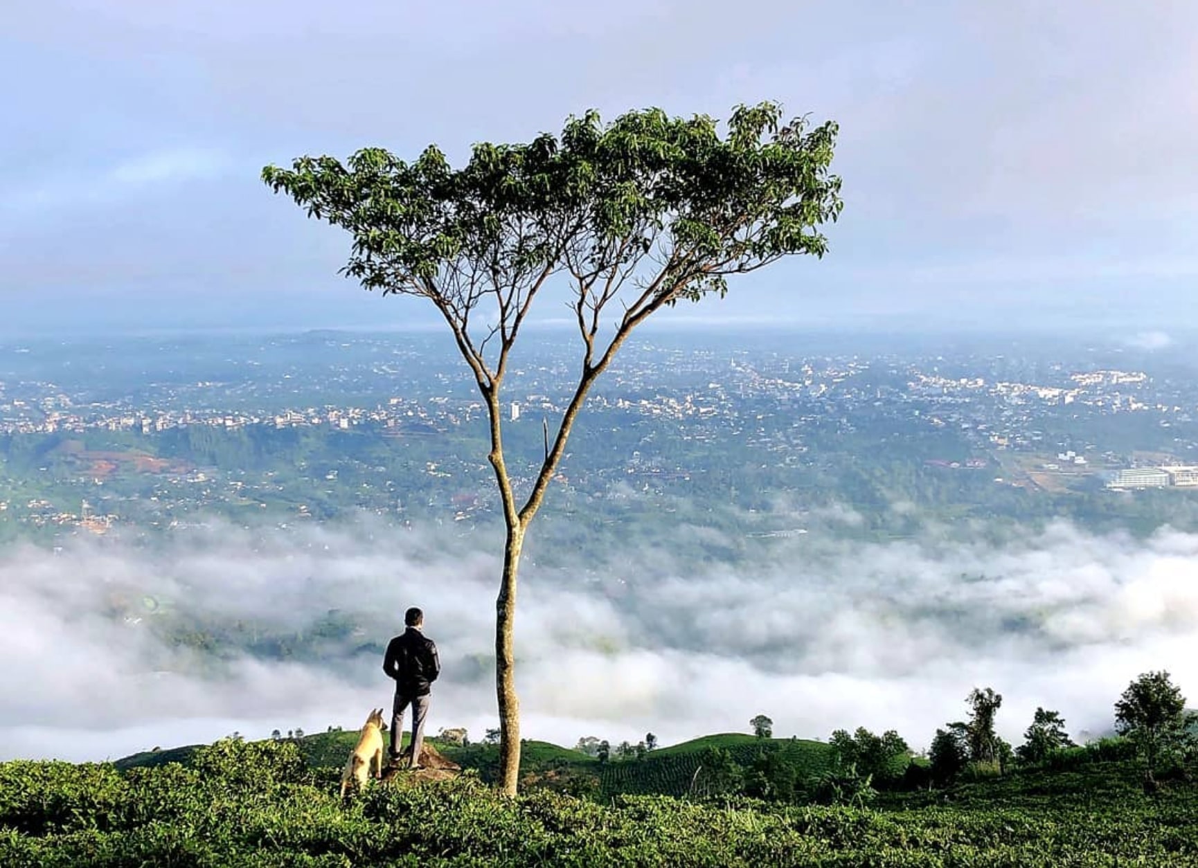 5 điểm du lịch cực chill tại Bảo Lộc, số 2 từng góp mặt trong MV đình đám của Sơn Tùng MTP - Ảnh 1