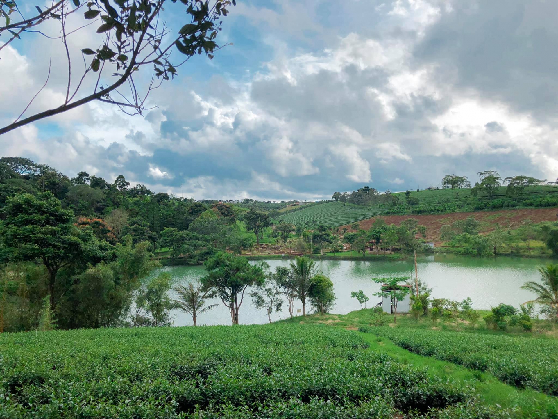 5 điểm du lịch cực chill tại Bảo Lộc, số 2 từng góp mặt trong MV đình đám của Sơn Tùng MTP - Ảnh 1