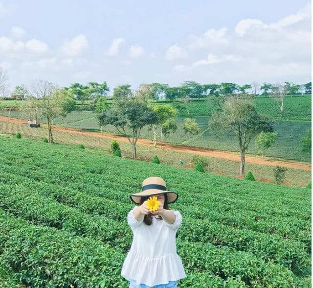 5 điểm du lịch cực chill tại Bảo Lộc, số 2 từng góp mặt trong MV đình đám của Sơn Tùng MTP - Ảnh 1