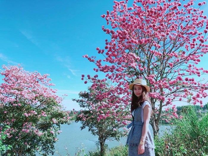 5 điểm du lịch cực chill tại Bảo Lộc, số 2 từng góp mặt trong MV đình đám của Sơn Tùng MTP - Ảnh 1