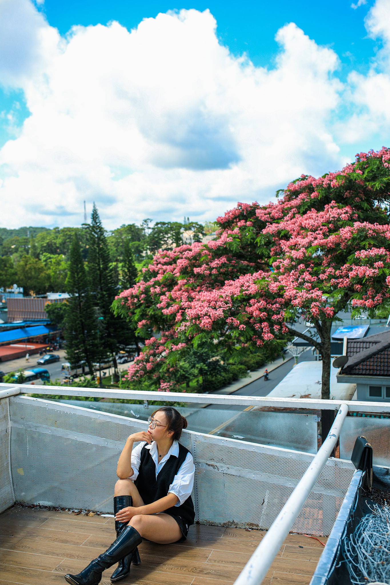 Phượng hồng Đà Lạt vào mùa nở rộ, dân mạng rần rần tìm kiếm địa chỉ check-in đẹp như phim - Ảnh 1