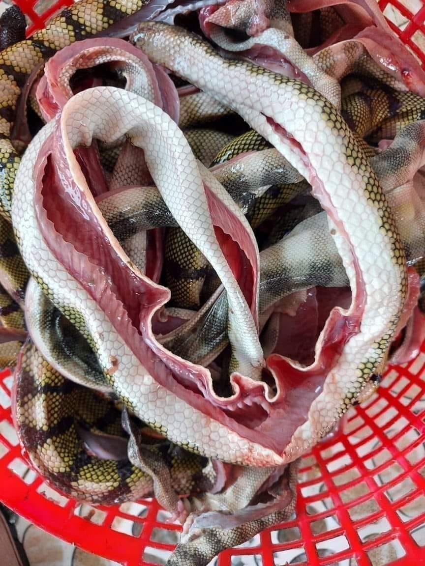 Ram đẻn, món ăn làm từ nguyên liệu “đáng sợi”, chỉ ăn một lần là nhớ của Quảng Bình. - Ảnh 1