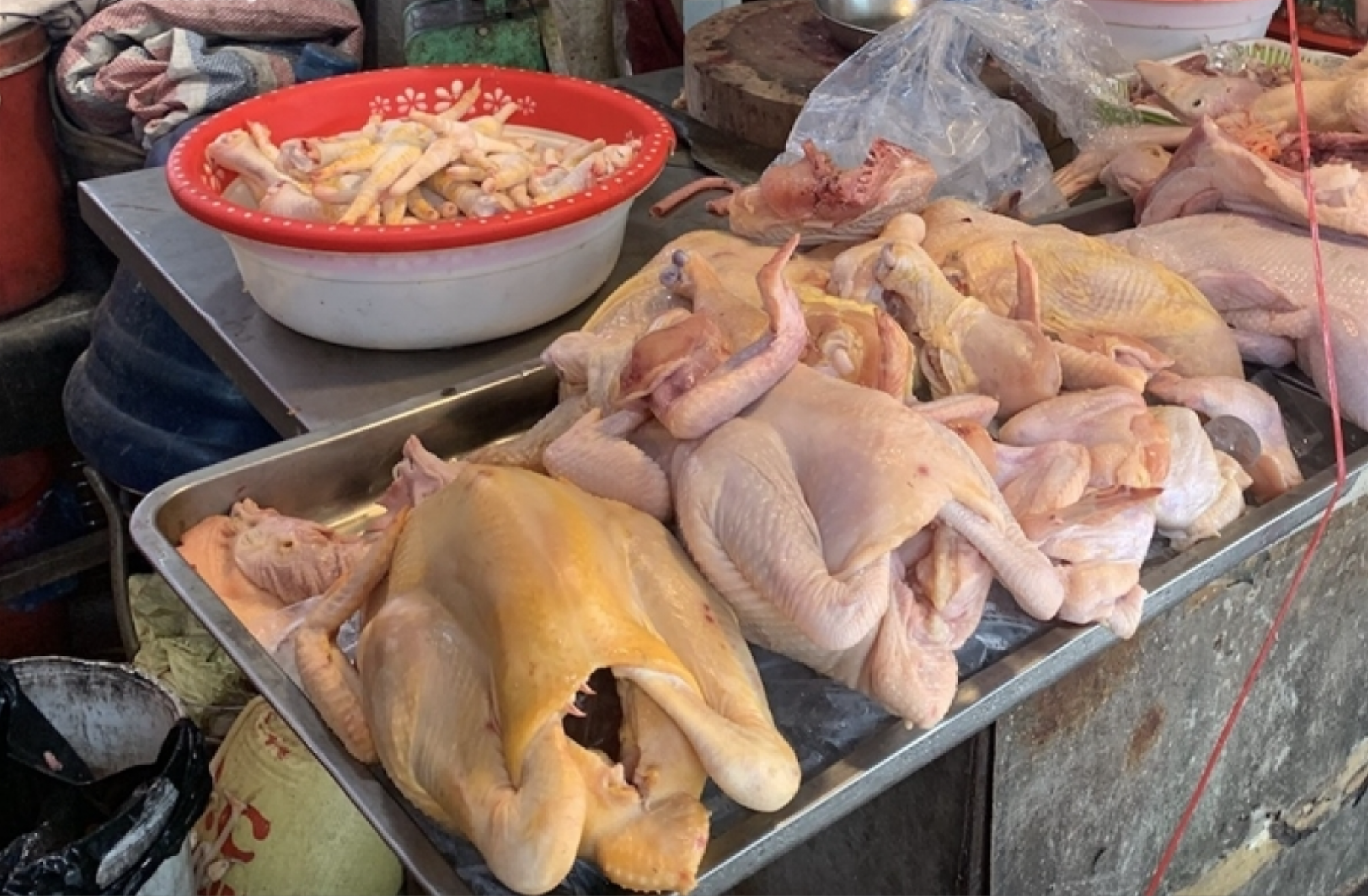 4 mẹo chọn gà mổ sẵn mà bạn nên biết để luôn mua được gà chắc thịt và tươi ngon - Ảnh 6