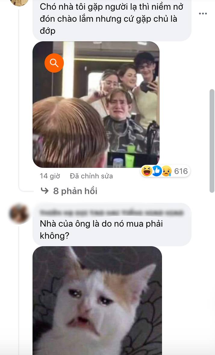 Chủ kiếm lương 3000 tệ, chó kiếm gấp 6 lần, netizen đùa nhau: khi nào đến lượt mình được bao nuôi - Ảnh 1