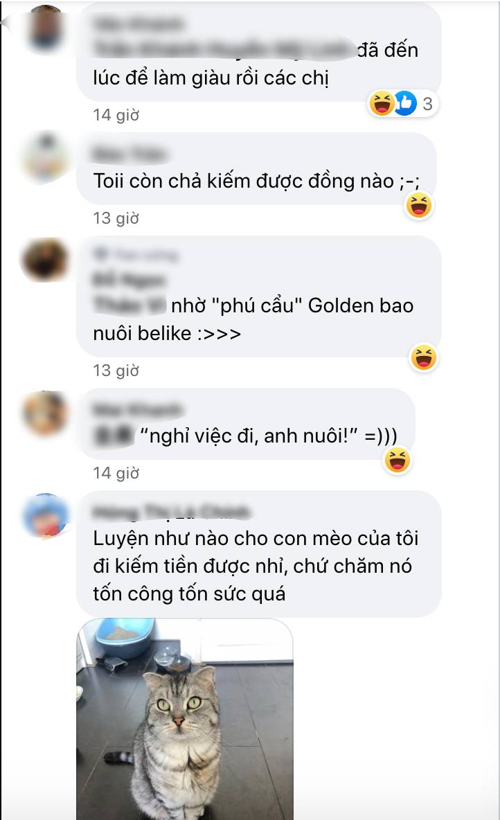 Chủ kiếm lương 3000 tệ, chó kiếm gấp 6 lần, netizen đùa nhau: khi nào đến lượt mình được bao nuôi - Ảnh 2