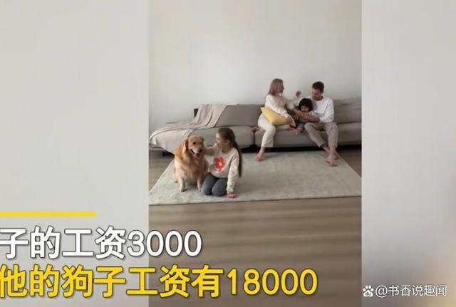 Chủ kiếm lương 3000 tệ, chó kiếm gấp 6 lần, netizen đùa nhau: khi nào đến lượt mình được bao nuôi - Ảnh 2