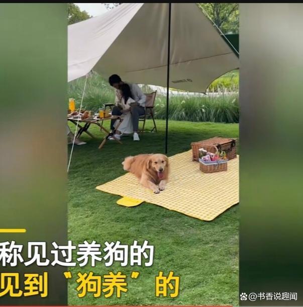 Chủ kiếm lương 3000 tệ, chó kiếm gấp 6 lần, netizen đùa nhau: khi nào đến lượt mình được bao nuôi - Ảnh 3