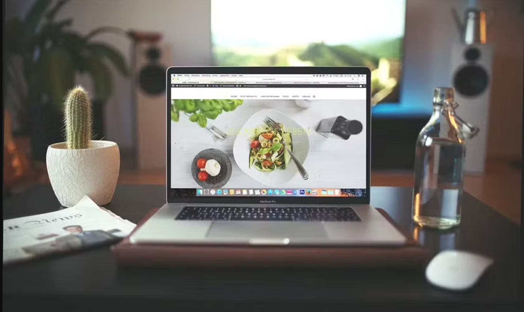 Quy tắc “3 nên 2 không” khi đặt cây xương rồng trong nhà mà bạn nên biết để thêm may mắn, tài lộc - Ảnh 6