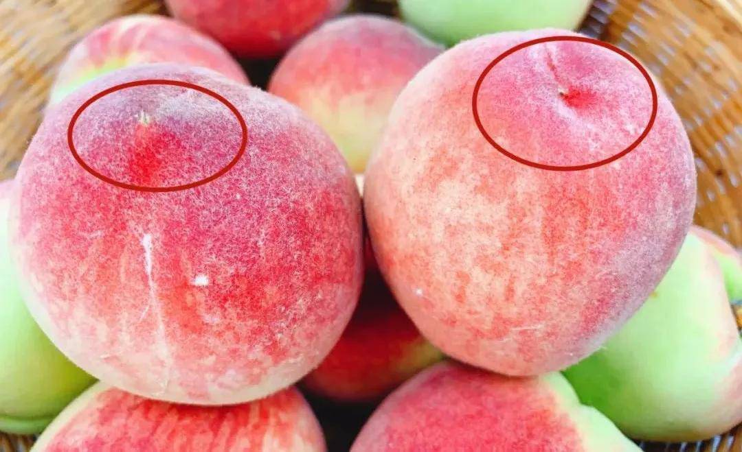 5 mẹo chọn đào mà bạn nên biết để quả nào quả nấy đều căng mọng, bổ dưỡng - Ảnh 1